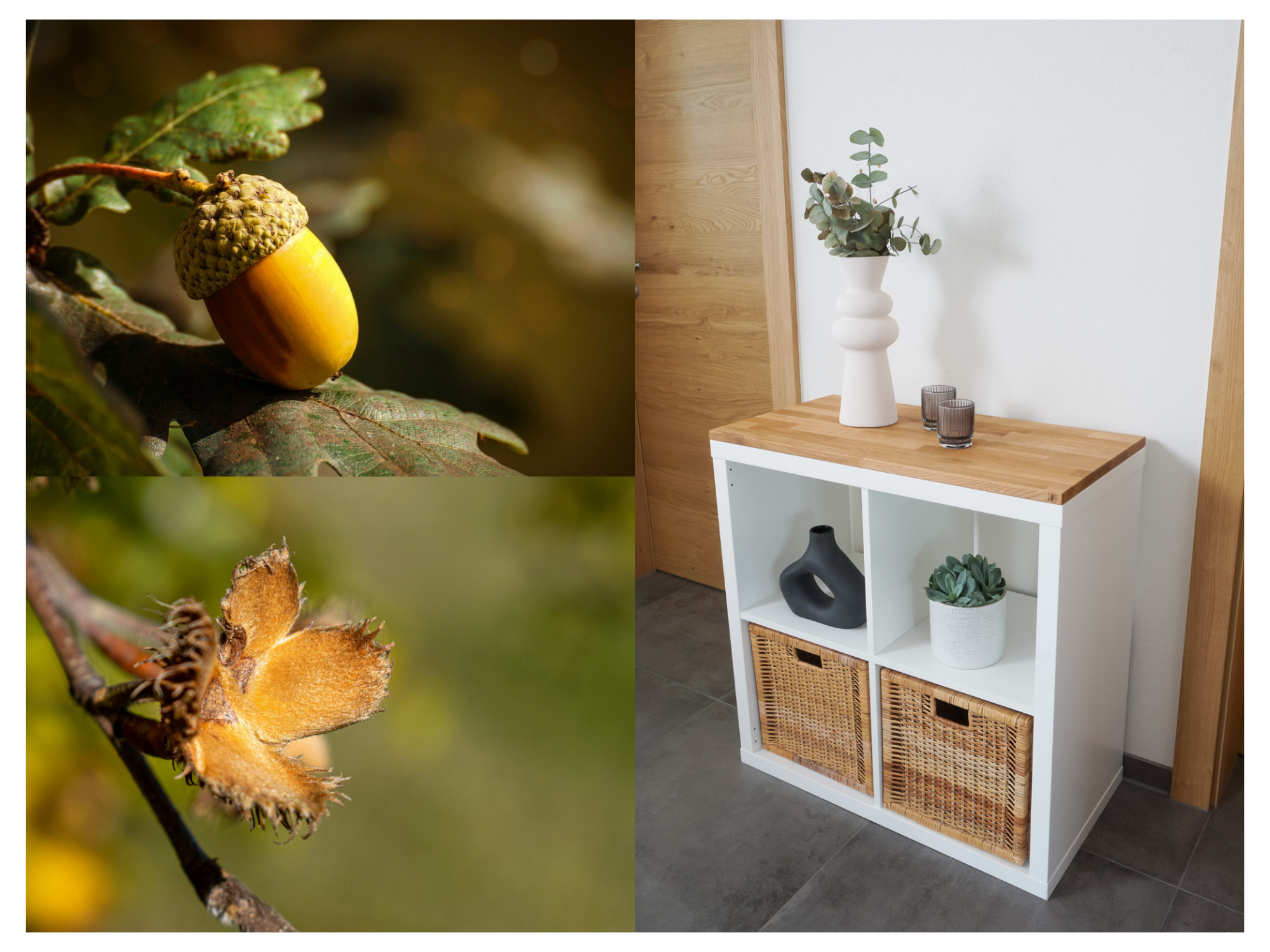 Vom Baum bis zur fertigen Massivholzplatte